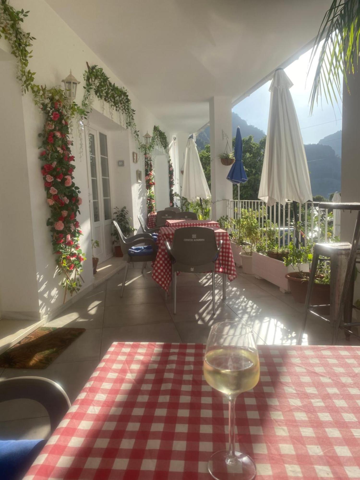 El Nido Del Chorro Capsulehotel *